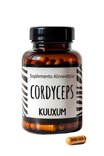 Cordyceps 60 cápsulas