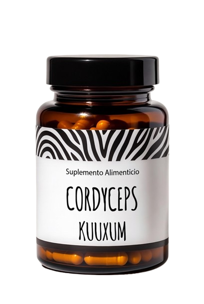 Cordyceps 90 cápsulas