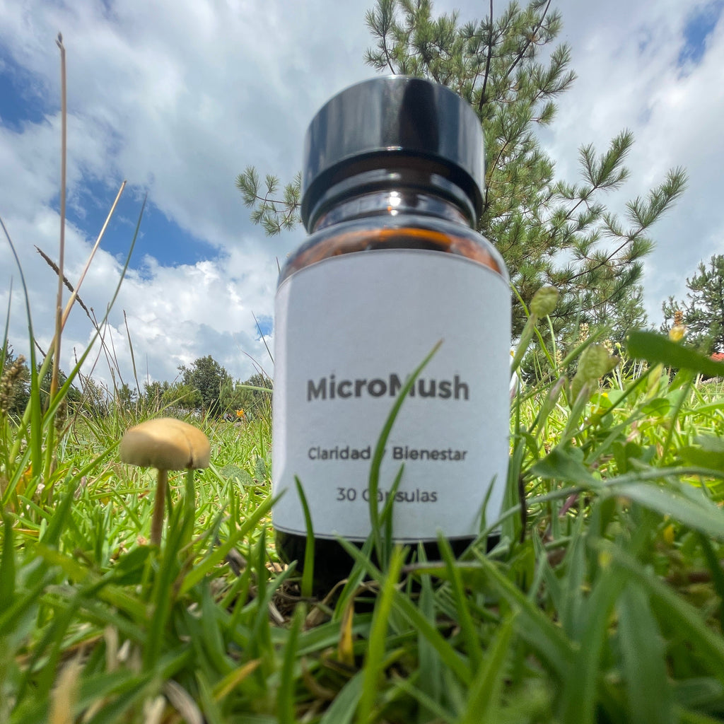 MicroMush | Psilo | 150 MG