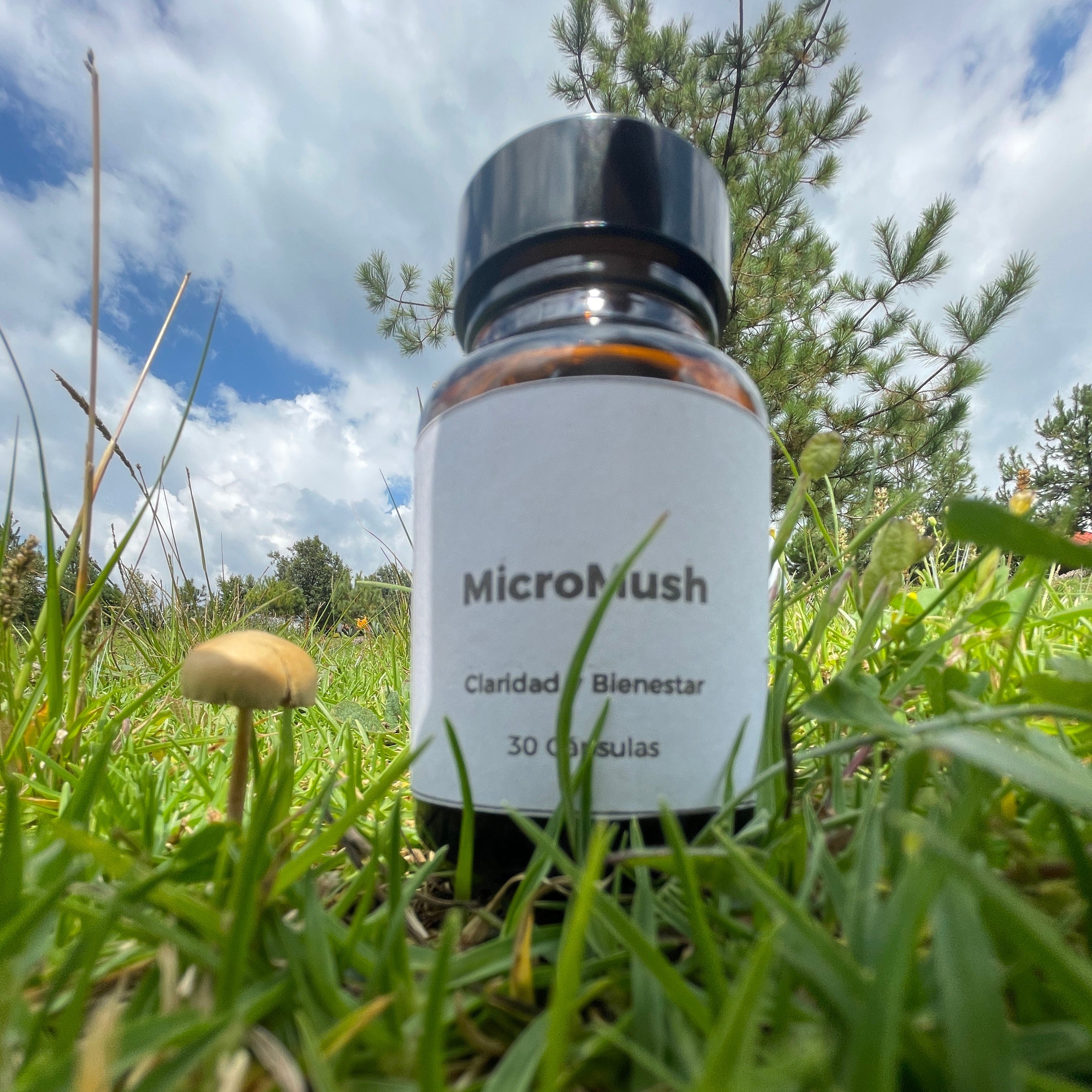 MicroMush | Psilo | 150 MG