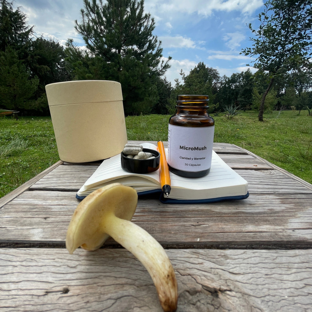 MicroMush | Psilo | 150 MG