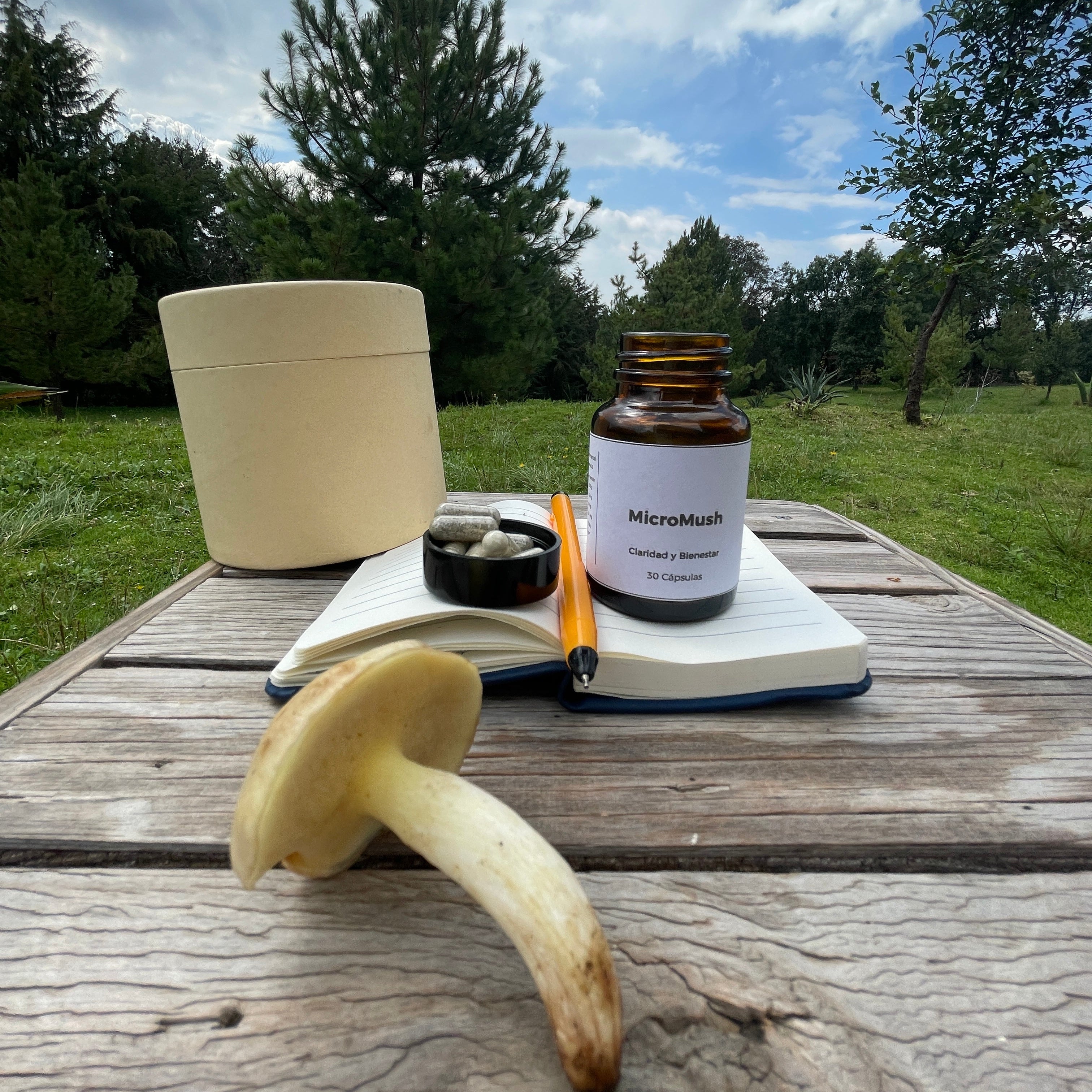 MicroMush | Psilo | 150 MG