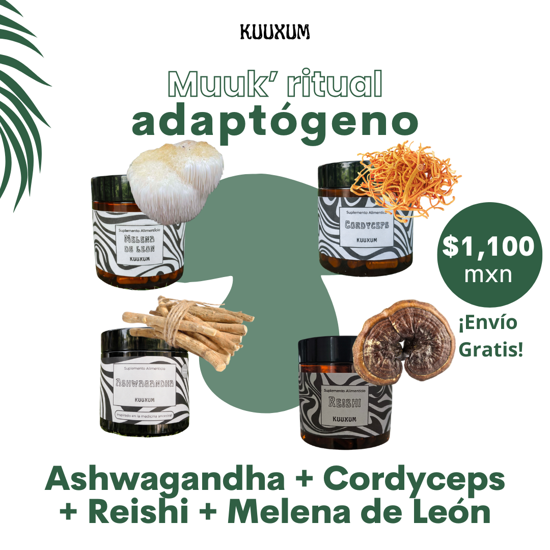 Muuk Ritual Adaptógeno