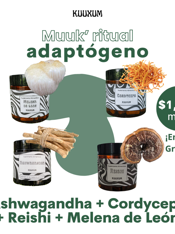 Muuk Ritual Adaptógeno